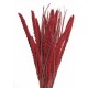 SPRAY MILLET 28" Red  OUT OF STOCK